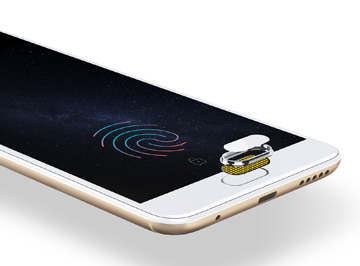 image for this item
