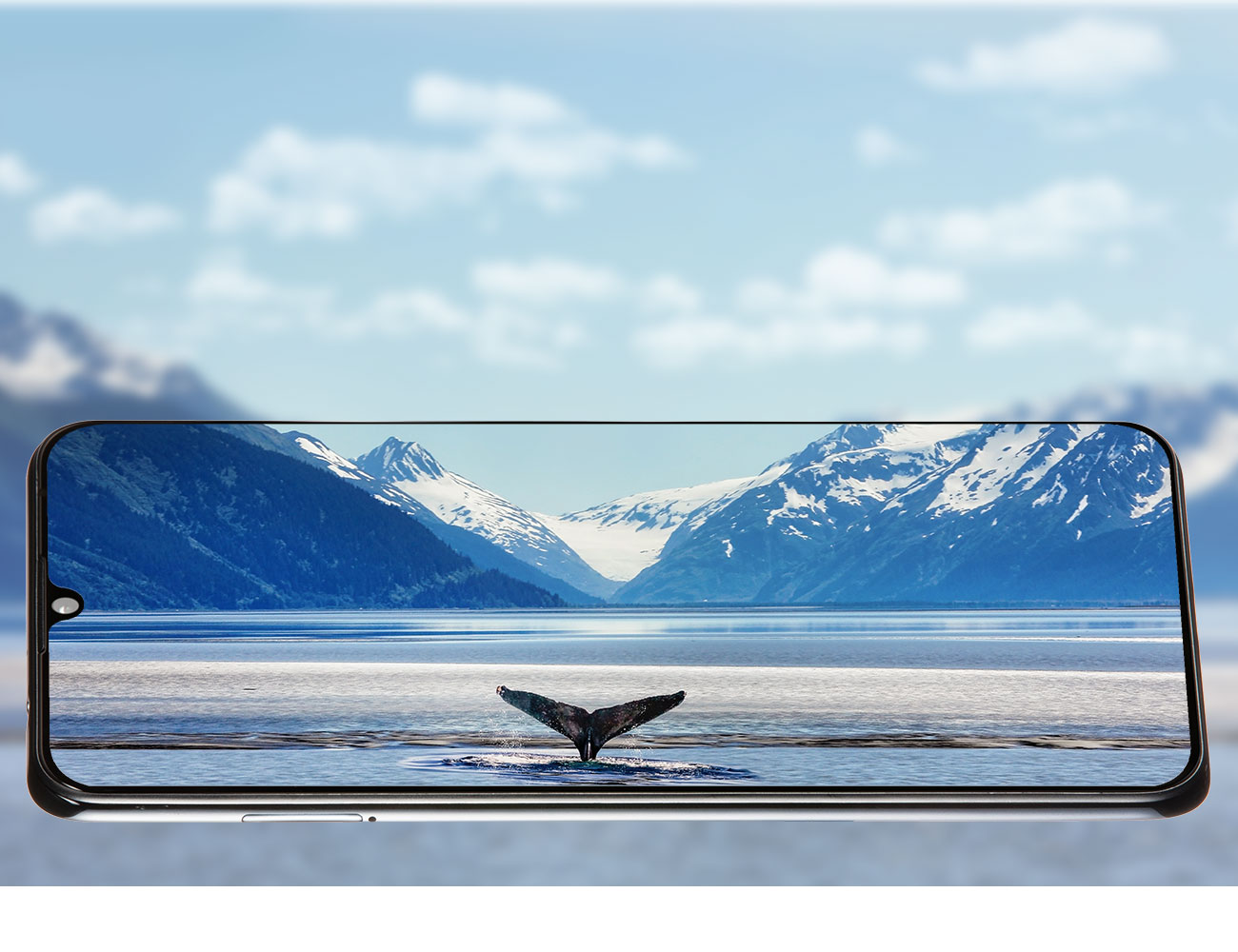 a phone with a sea picture as screen