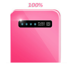 PV100 Power Bank