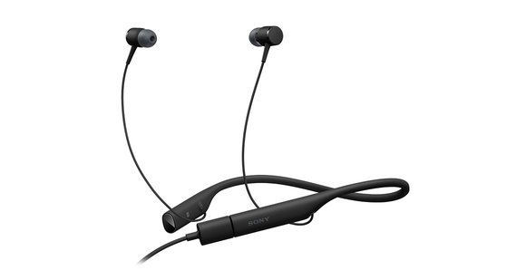 image for this item