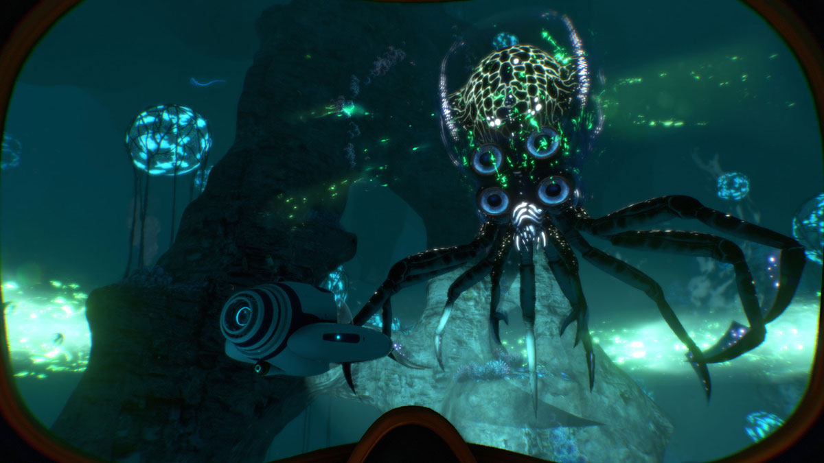 Dive into a vast underwater world 