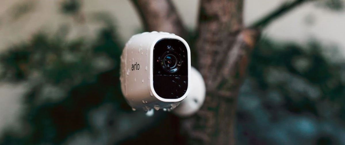 Arlo Pro 2 Installed on a Tree with Some Water Drops on It