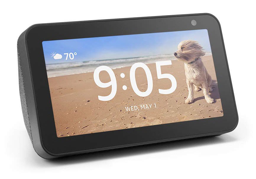 Echo Show 5 angled to right showing a dog on the beach