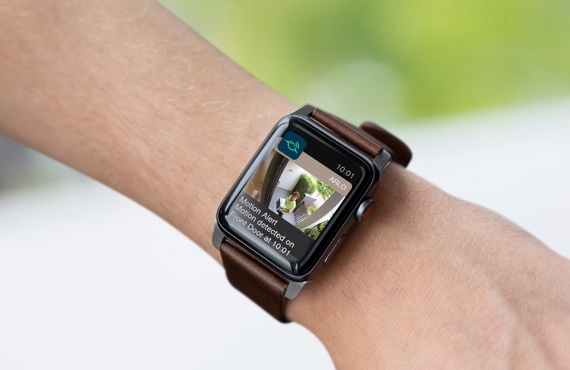Apple Watch on a person's arm showing video feed from an Arlo camera
