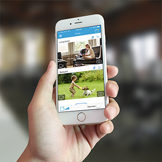 No Monthly Subscription Fee!