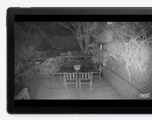 The backyard is showed in black and white at night on a tablet.
