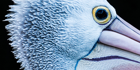 Acer Aspire GX Desktop PC