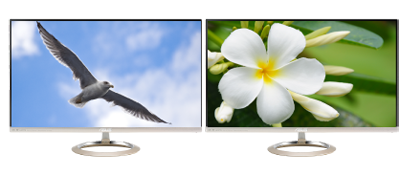 image for this item