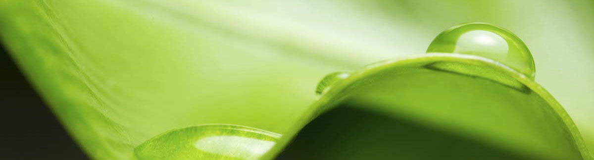 Quieter than a library, and more efficient than a LED bulb