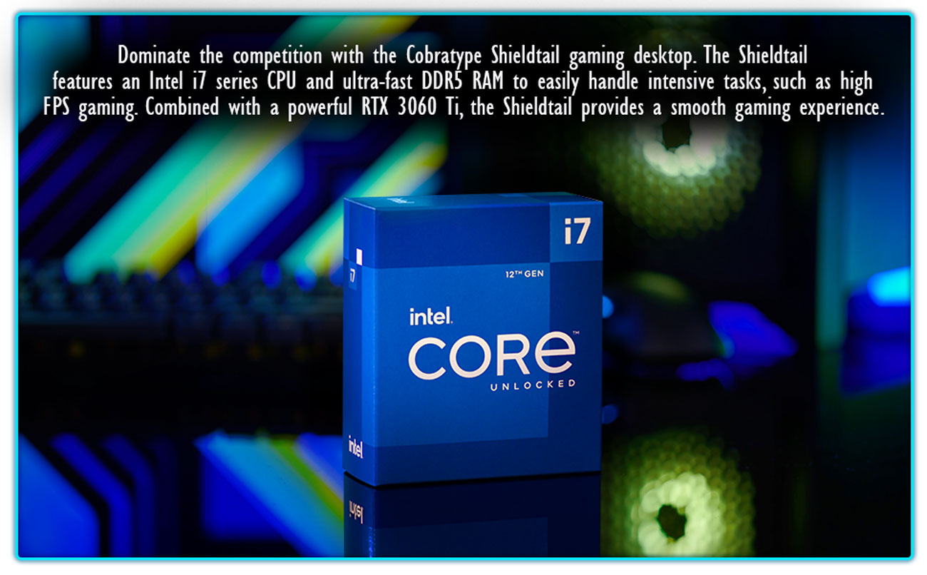 Cobratype Gaming Desktop