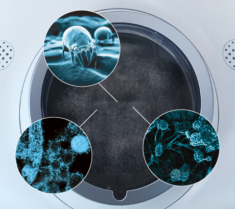 microscopic hotspot of germs and parasites sucked up into the RAYCOP VCEN-100USWH vacuum