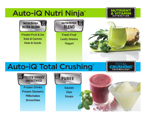 NeweggBusiness - Nutri Ninja BL641 DUO 1200W Auto-iQ Professional Digital  Power Blender Extractor