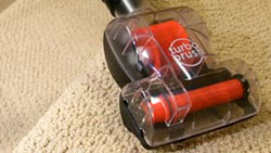 BISSELL® CleanView®