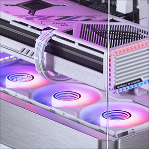 Phanteks Evolv X2 Mid-Tower Gaming Chassis