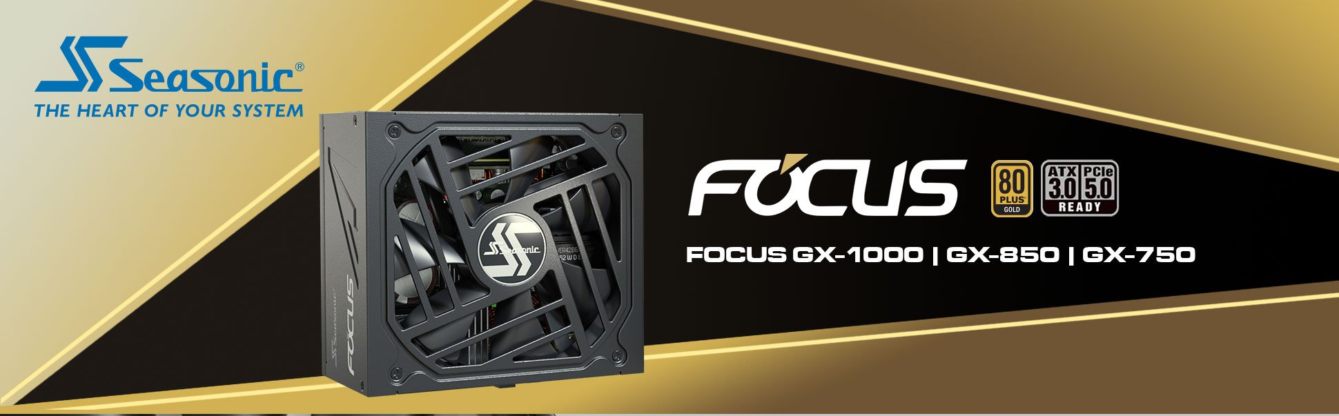Seasonic FOCUS GX-1000, 1000W 80+ Gold, Full-Modular, Fan Control in  Fanless, Silent, and Cooling Mode, 10 Year Warranty, Perfect Power Supply  for