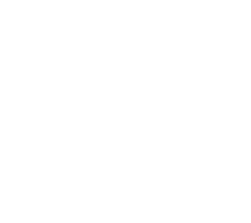 MSI MPG A1250GS PCIE5 II Power Supply