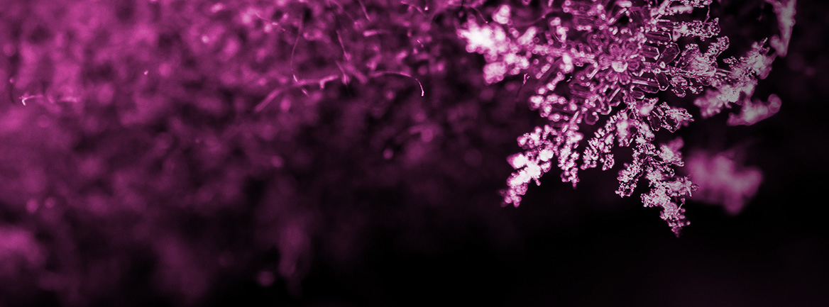 MSI MPG A1000GS PCIE 5 II Power Supply