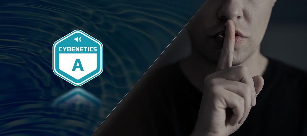 ASRock Steel Legend PG-850PSF 850W 80 PLUS GOLD & Cybenetics PLATINUM Full Modular Power Supply