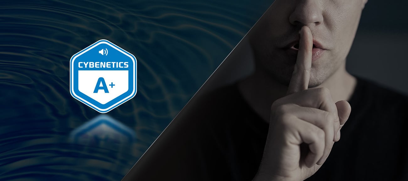 ASRock Steel Legend SL-1000P 1000W 80 PLUS GOLD & Cybenetics PLATINUM Full Modular Power Supply