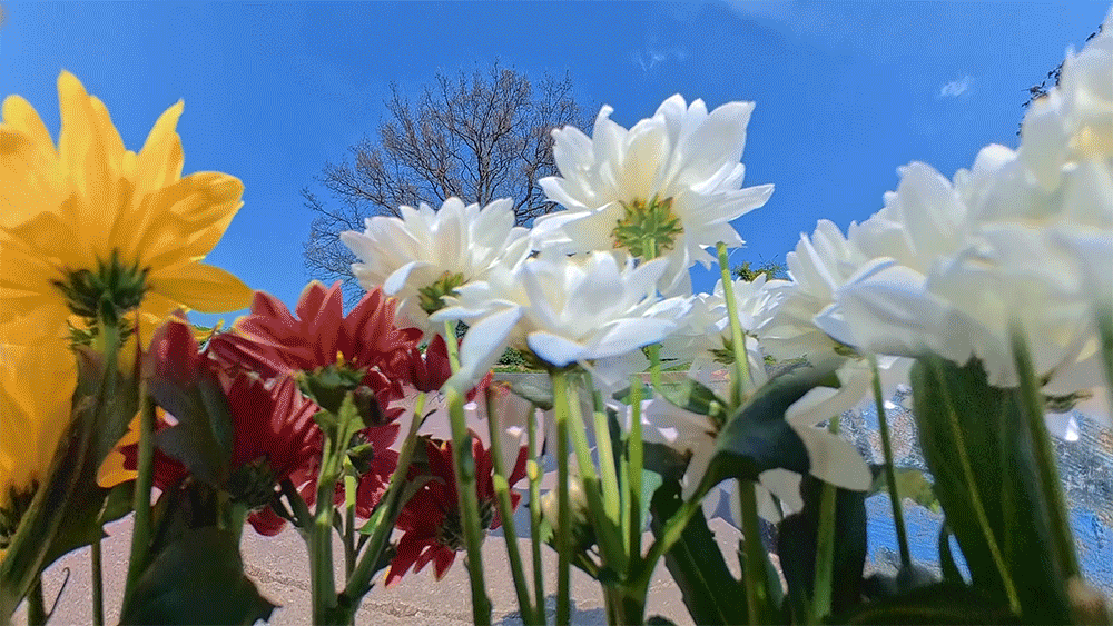 Insta360 X5 360 8K Action Camera