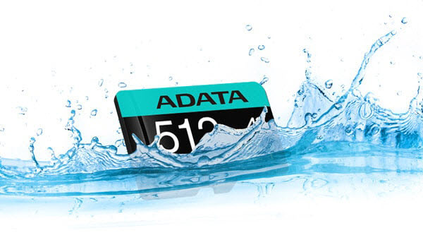 Adata 256GB Premier ONE microSDXC UHS-II / U3 Class 10 Memory Card with SD  Adapter, Speed Up to 275MB/s (AUSDX256GUII3CL10-CA1) 