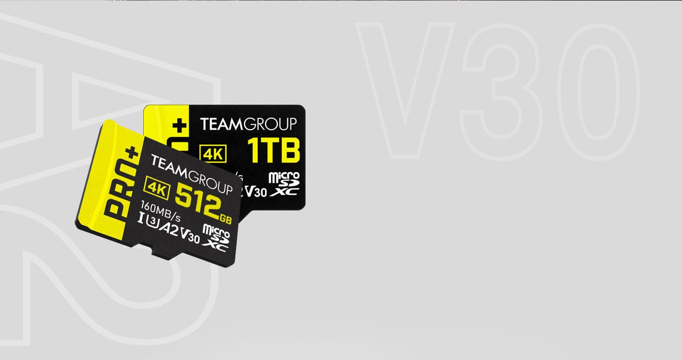 TEAMGROUP GO Card 256GB Micro SD Card for GoPro & Action Cameras, MicroSDXC  UHS-I U3 V30 High Speed Flash Memory Card 