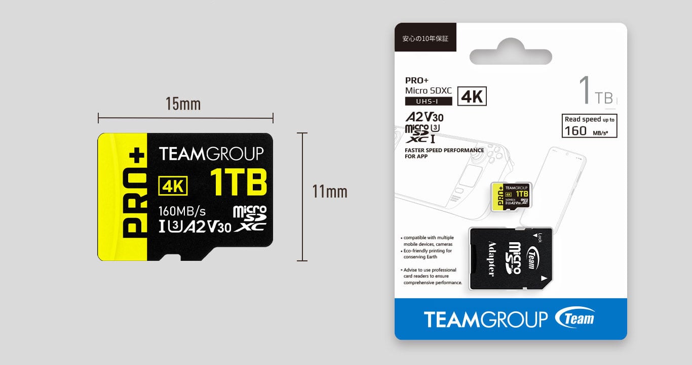  TEAMGROUP GO Card 256GB Micro SDXC UHS-I U3 V30 4K for