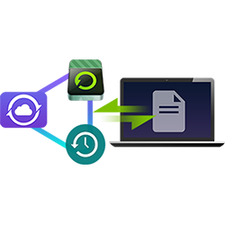 DRIVESTOR 2 (AS1102T) NAS