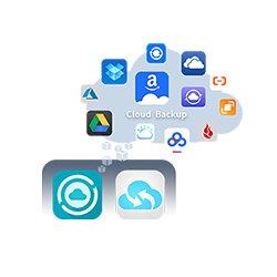 DRIVESTOR 2 (AS1102T) NAS