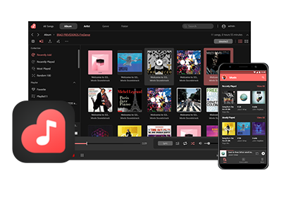 DRIVESTOR 2 (AS1102T) NAS