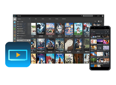 DRIVESTOR 2 (AS1102T) NAS