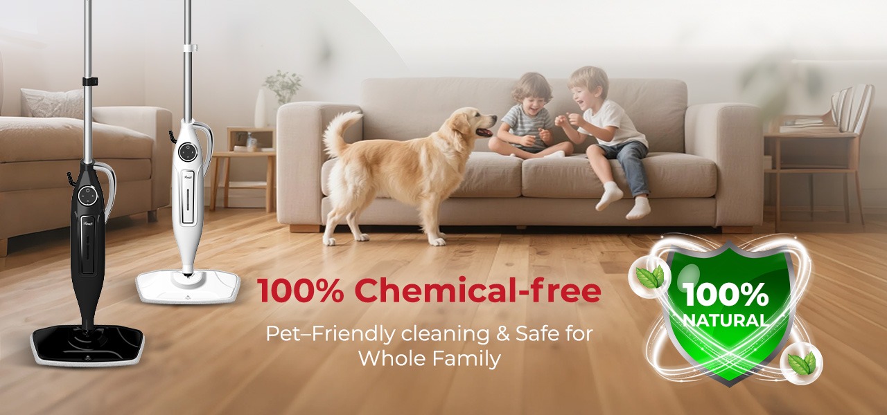 Rosewill 11-in-1 Steam Mop