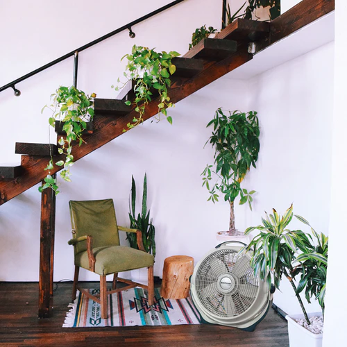 Lasko 3300 Wind Machine Fan