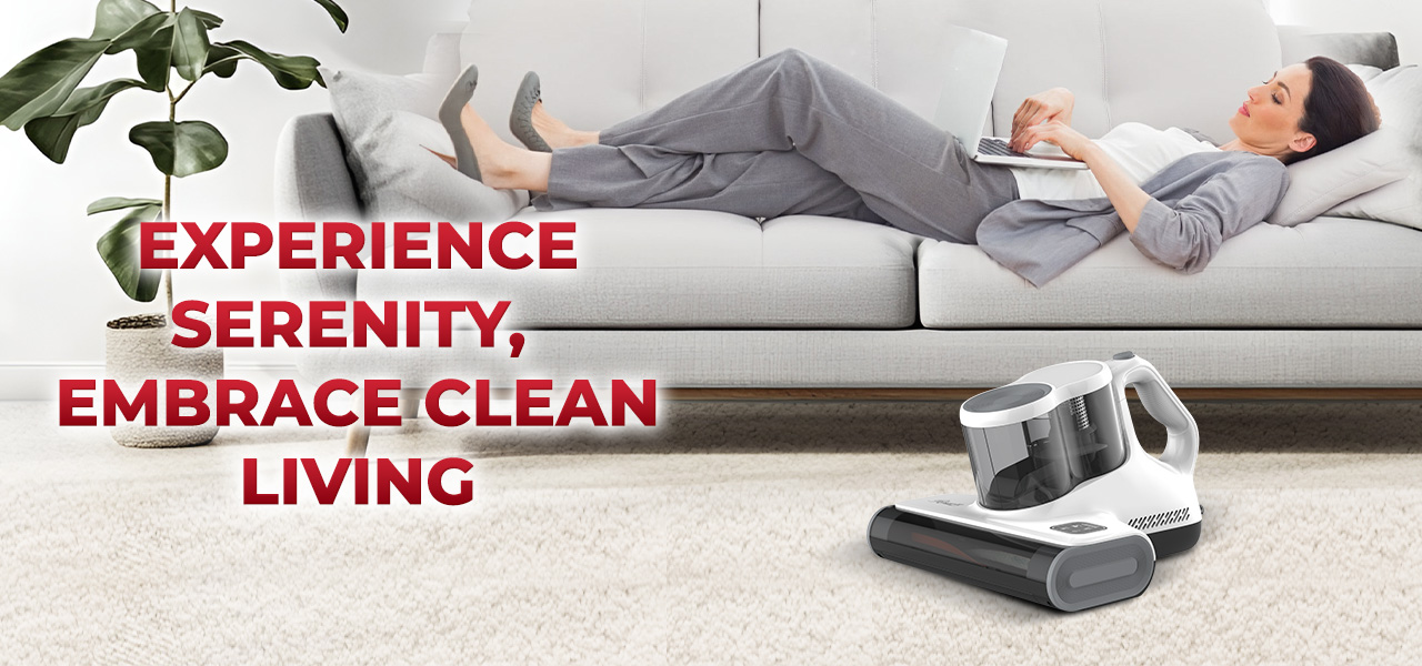 Rosewill Hand Held Mattress Vacuum Cleaner