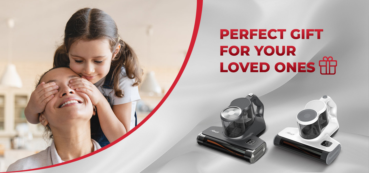 Rosewill Hand Held Mattress Vacuum Cleaner