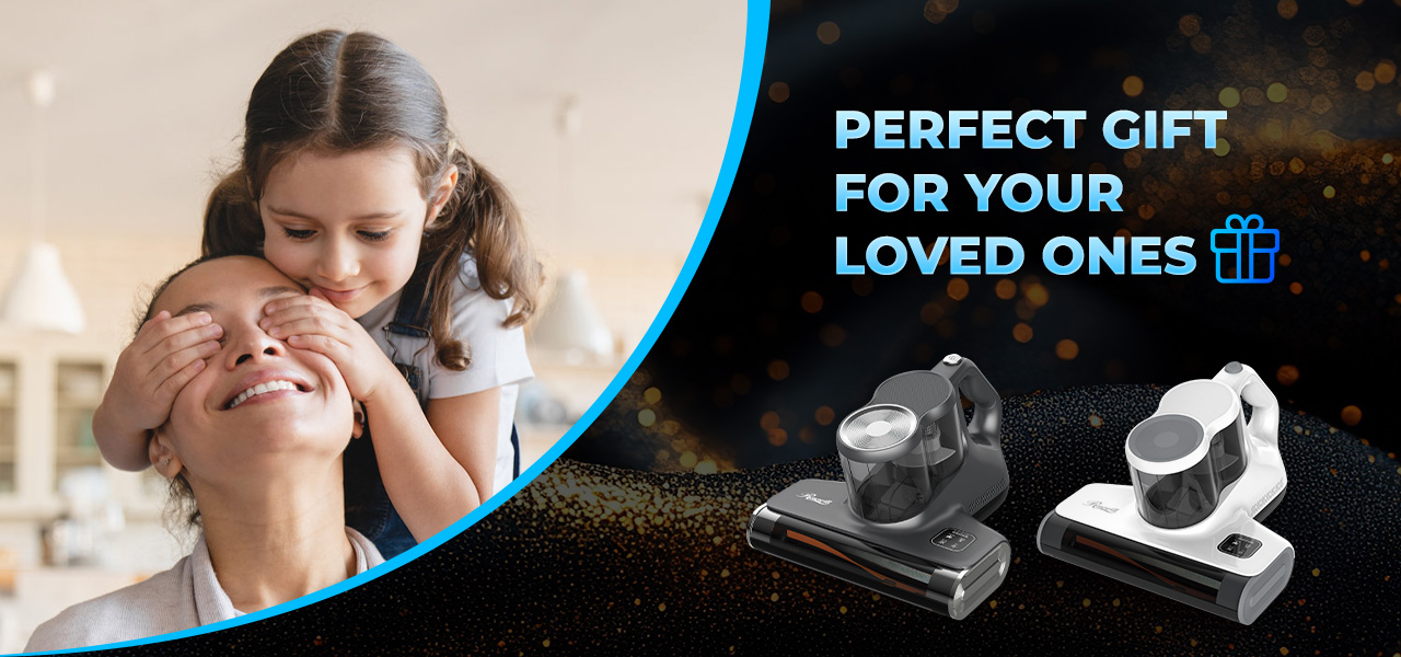 Rosewill Hand Held Mattress Vacuum Cleaner