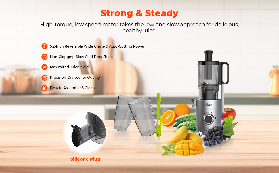 Rosewill Cold Press Juicer