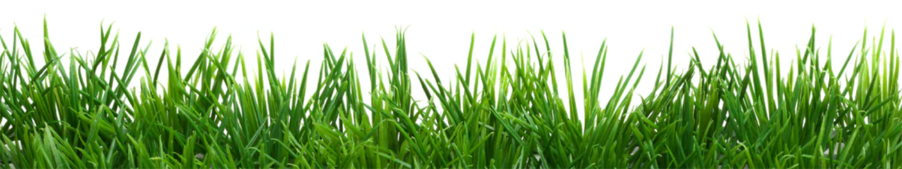 NatureShield® Insect & Pest Repellent