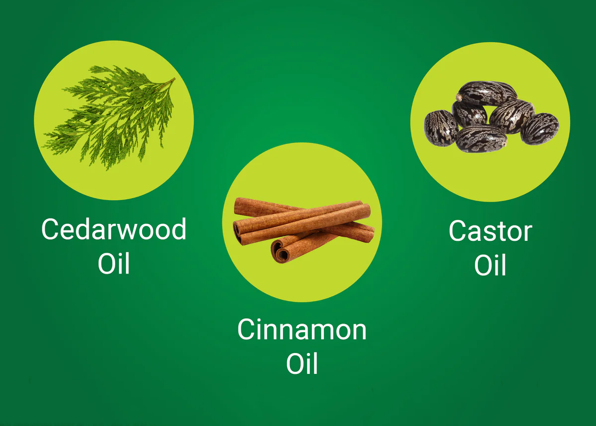 NatureShield® Insect & Pest Repellent