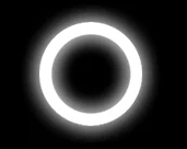 Angetube 1080p 967Pro Webcam with Ring Light for Streaming