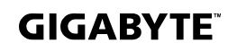 GIGABYTE BRIX GB-BNIP-N100 Ultra Compact PC Kit