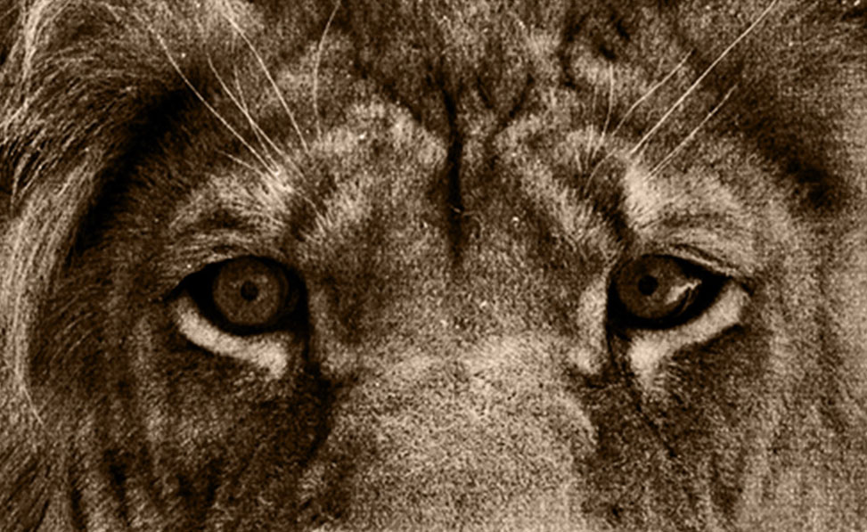 LaserPecker LP2 Portable and Handheld Laser Engraver