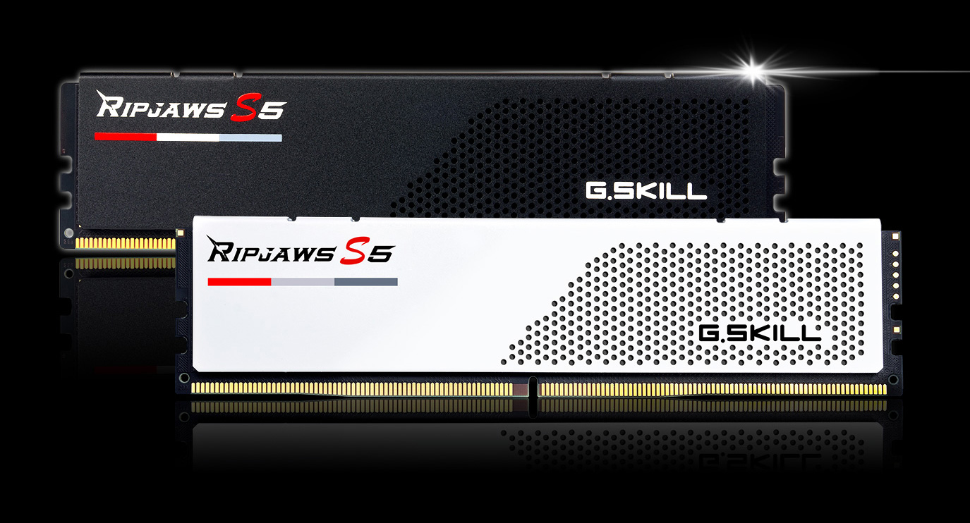 G. Skill ripjaws s5 ddr5 nizkoprofilni pomnilnik v črni izvedbi