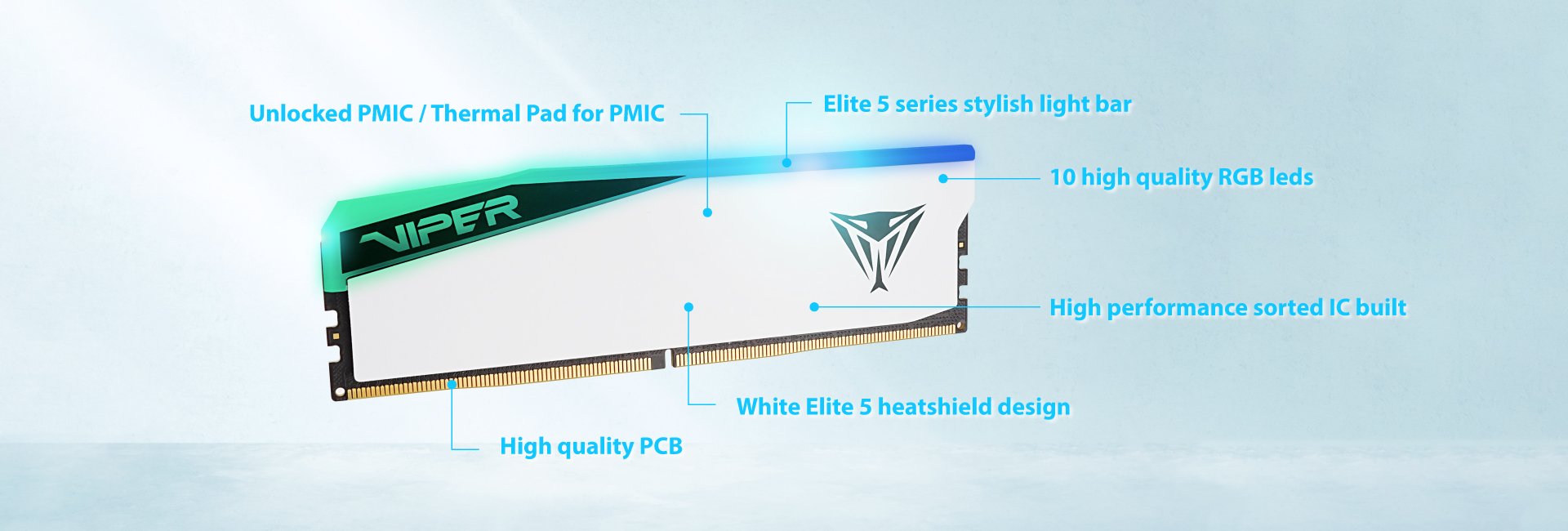 Patriot Viper Elite 5  Desktop Memory
