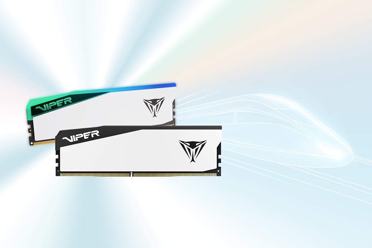 Patriot Viper Elite 5  Desktop Memory
