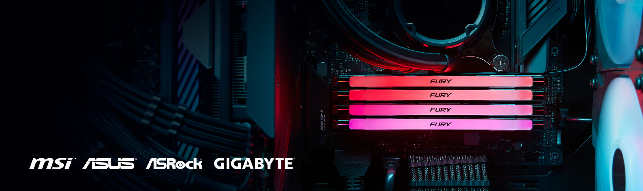 Kingston FURY Renegade DDR5 RGB Memory