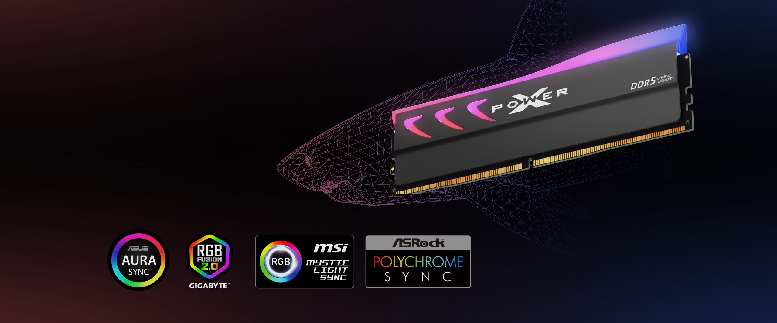 Silicon Power Storm RGB DDR5 Desktop Memory
