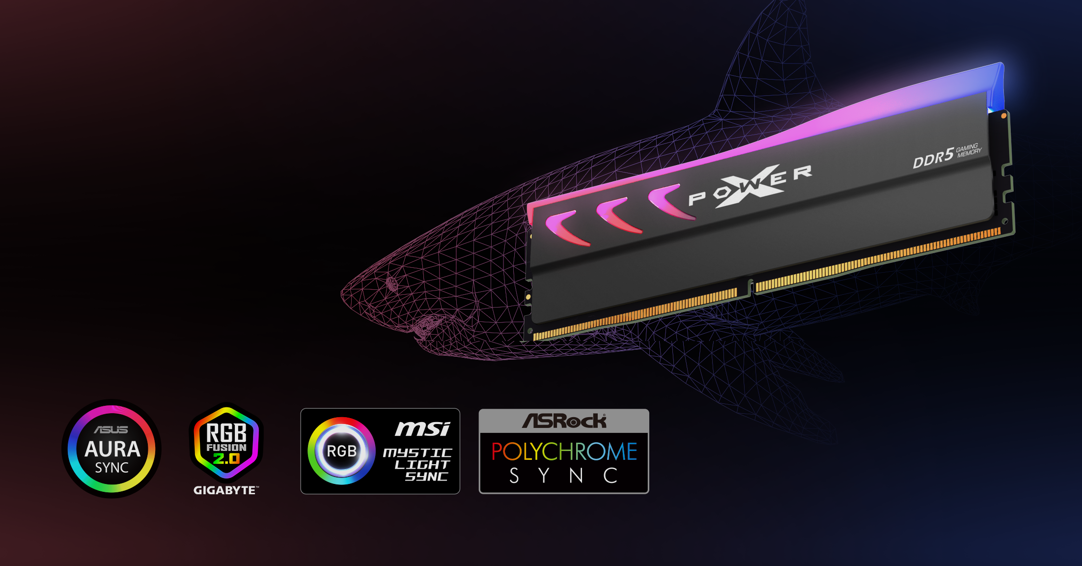 Silicon Power XPOWER STORM DDR5 RGB Memory