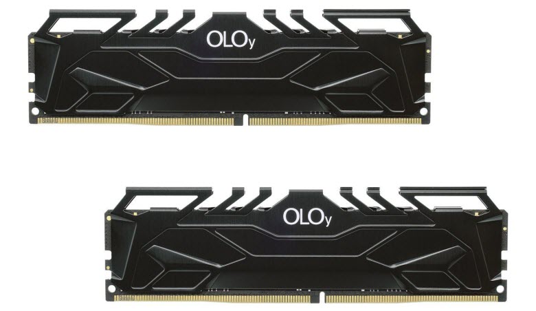 OLOy 16GB (2 x 8GB) DDR4 3000 Desktop Memory - Newegg.com