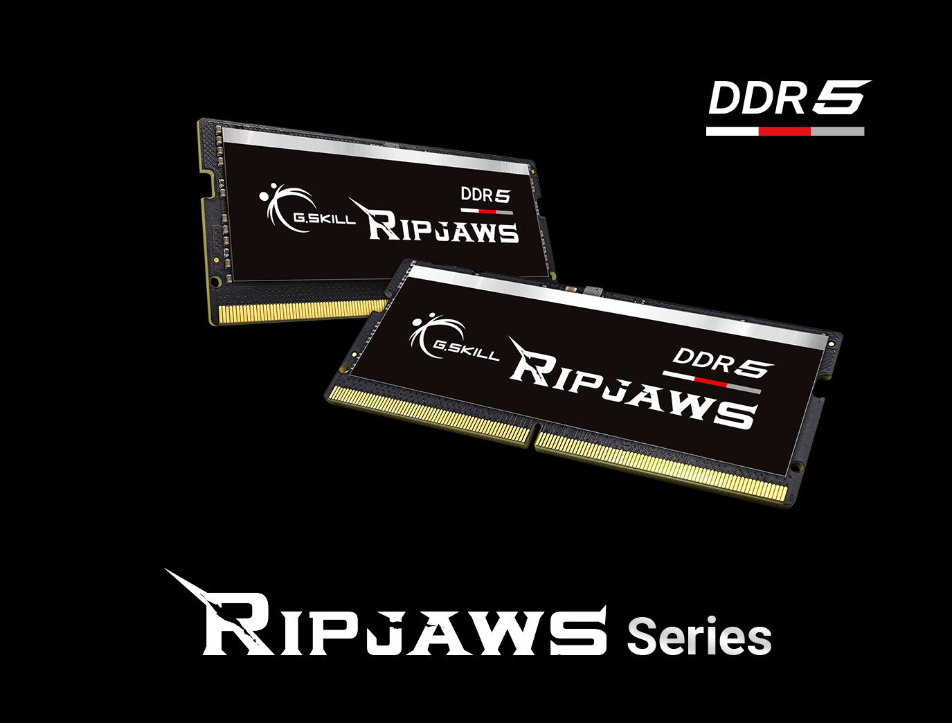 G.Skill Ripjaws 32GB (32GBx1), DDR5 4800MHz